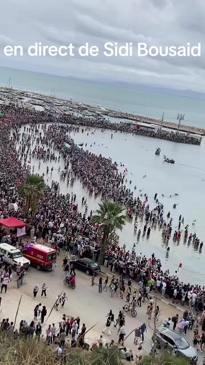 @Taoufik🇵🇸toulousain🇨🇵🇹🇳