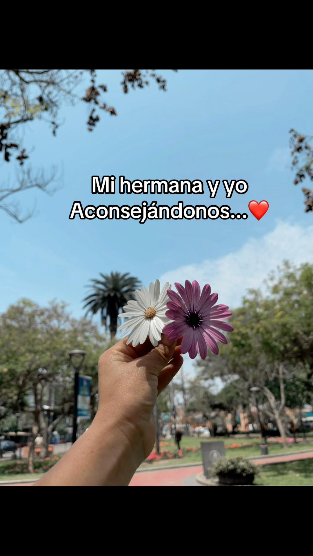 @Etelvinabravo