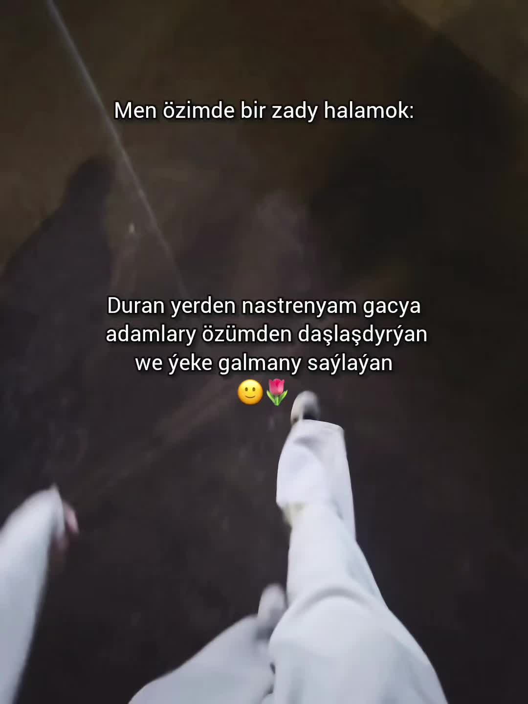 @An.evaaaaaa_🦩