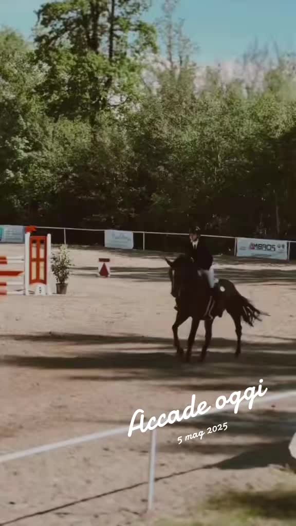 @Desy🐴