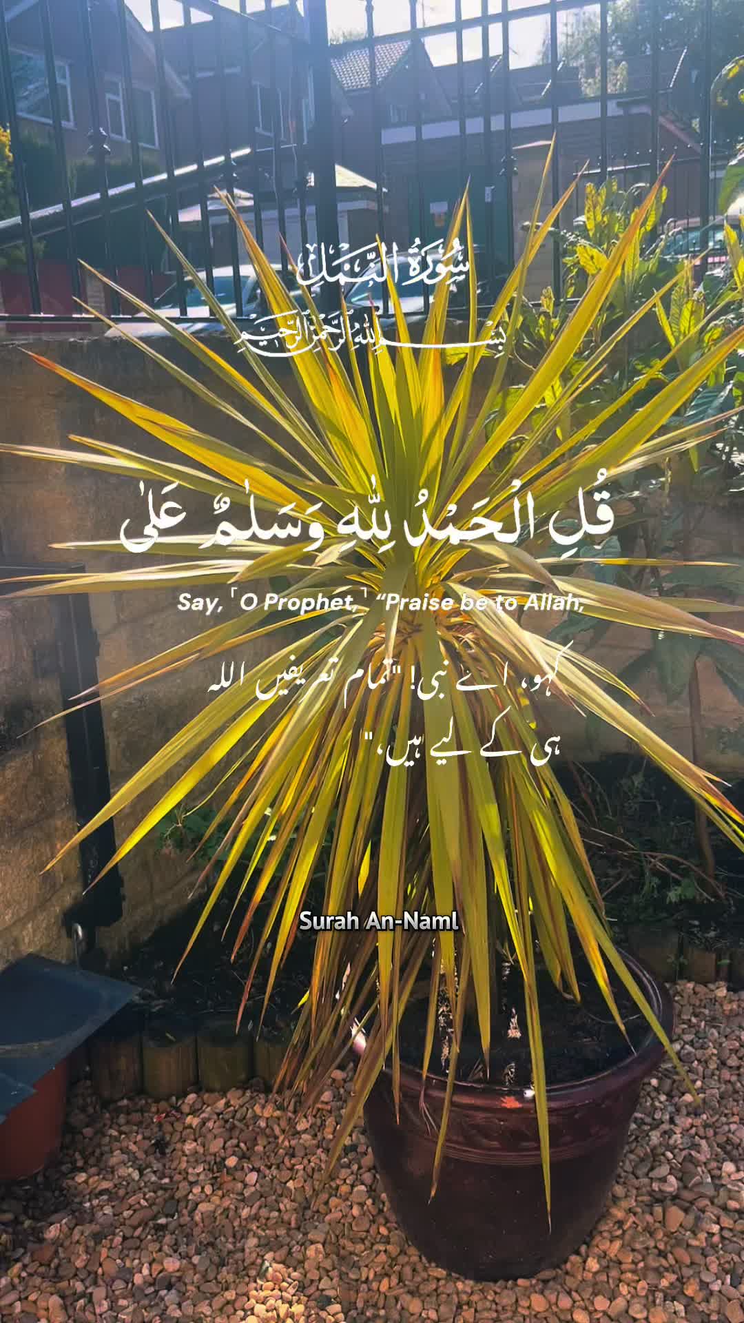 @maqrafiq