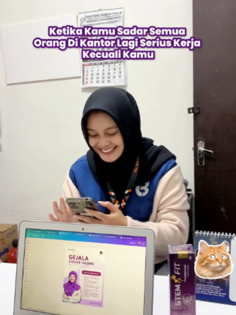 @Stemfit Official