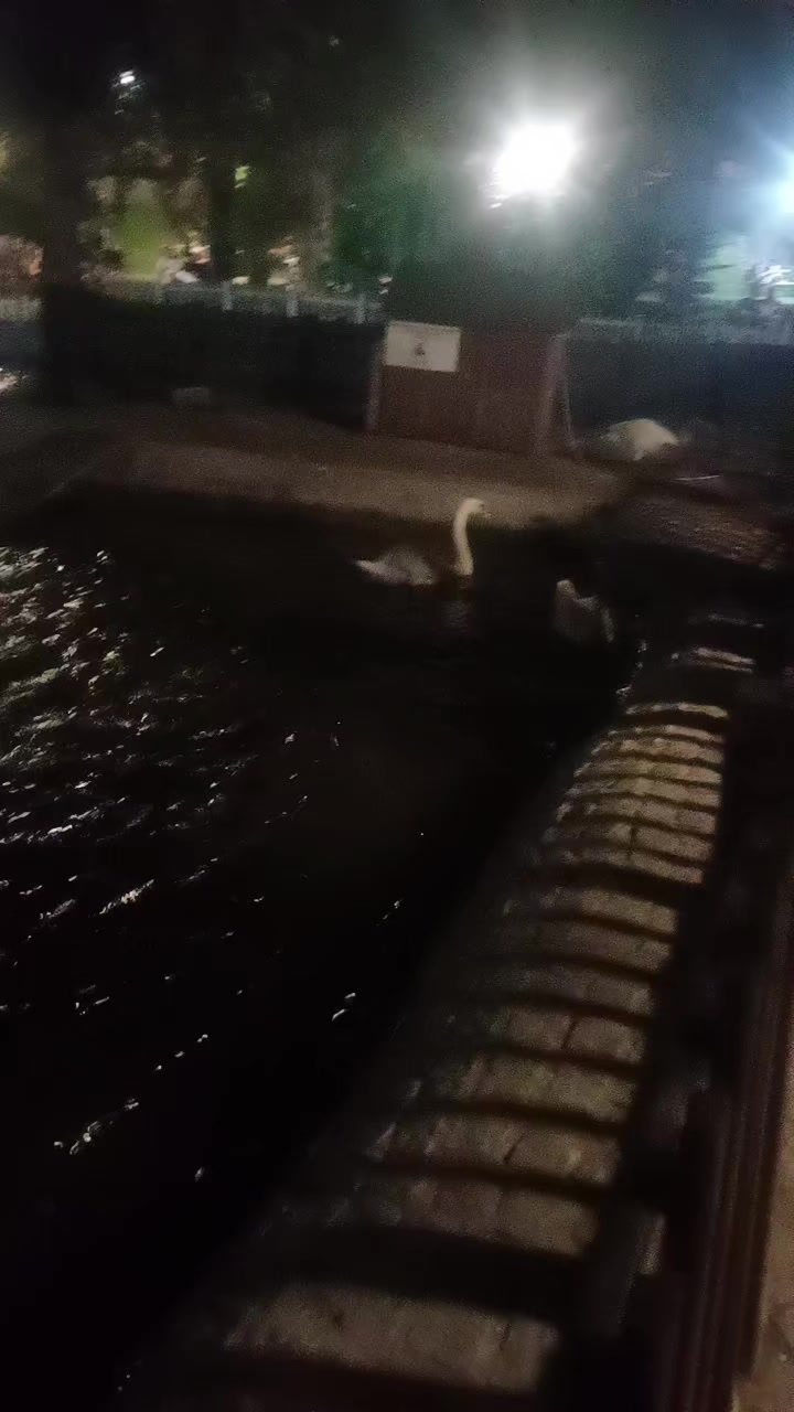 @🇹🇷MELEK REİS🇹🇷