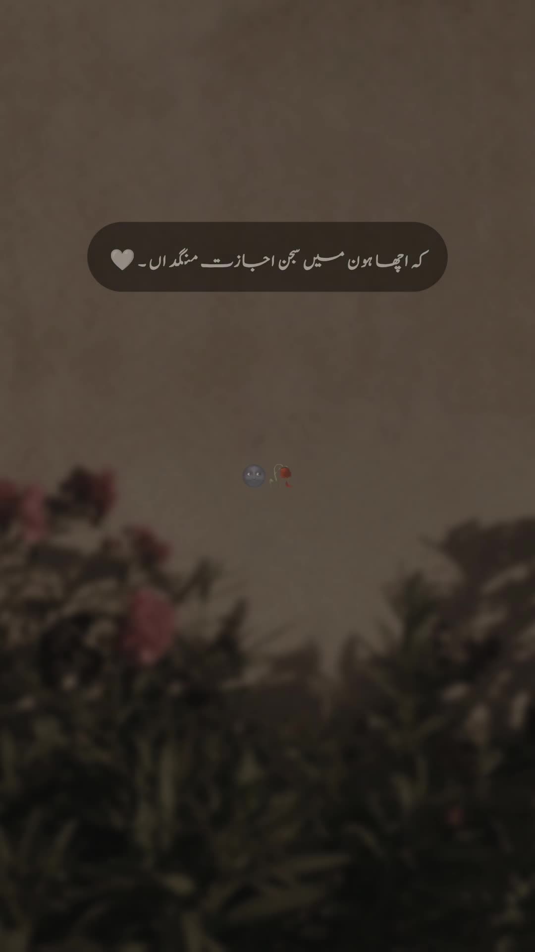 @𝐒 𝐚 𝐌 𝐢 🍂🫀