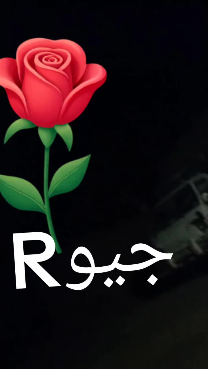 @ملک ربنواز سرگودھے الا