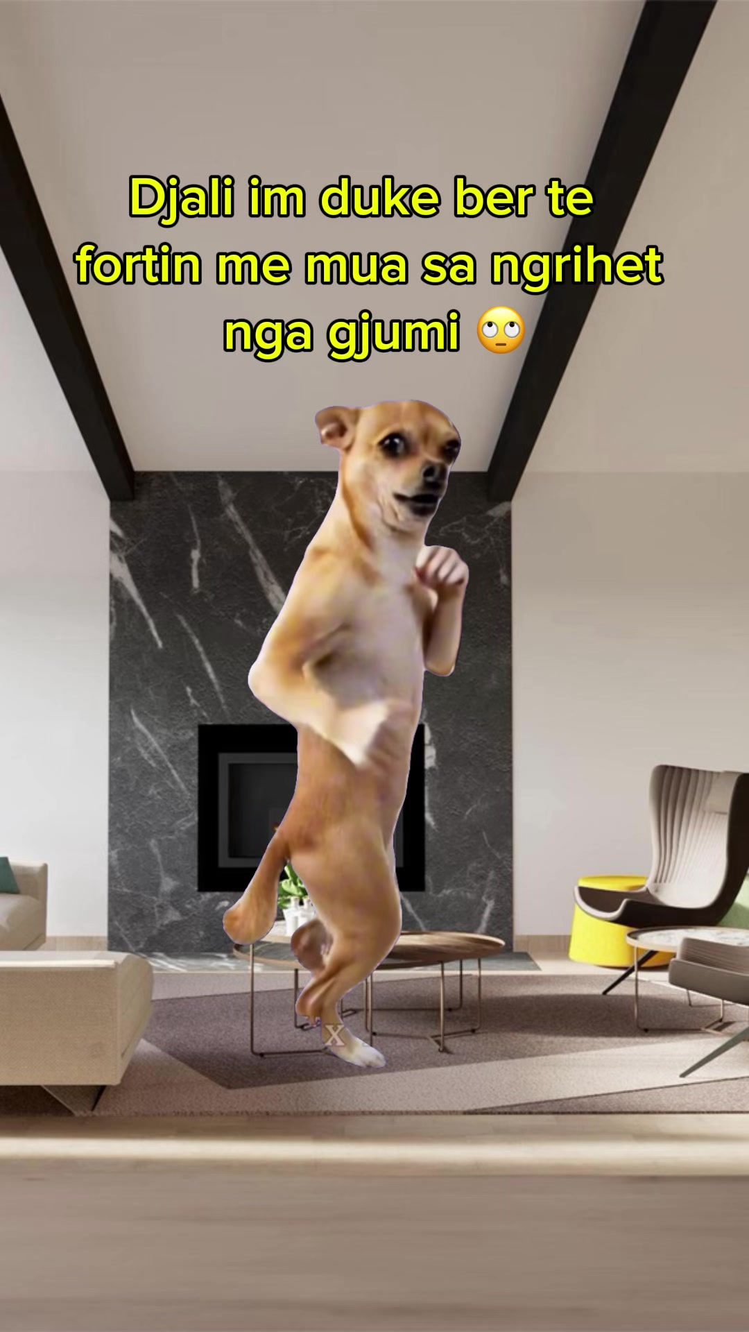 @Rafaela