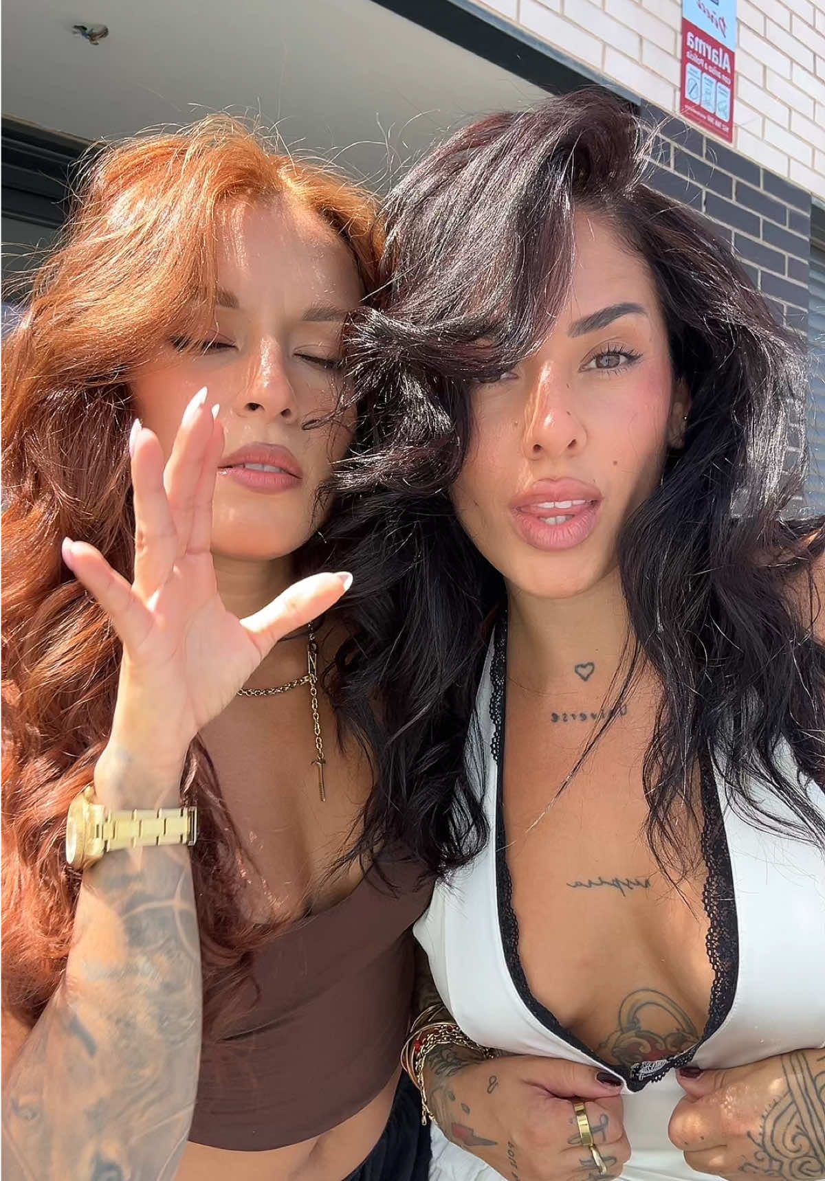 @Dama 🦋