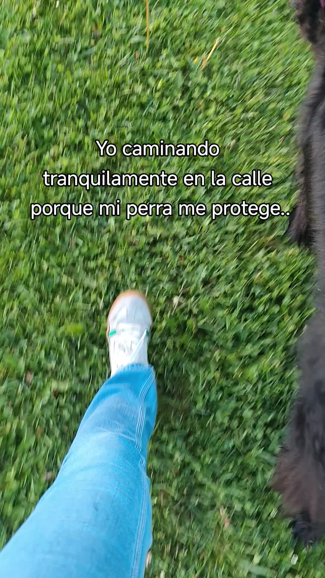 @Martuki
