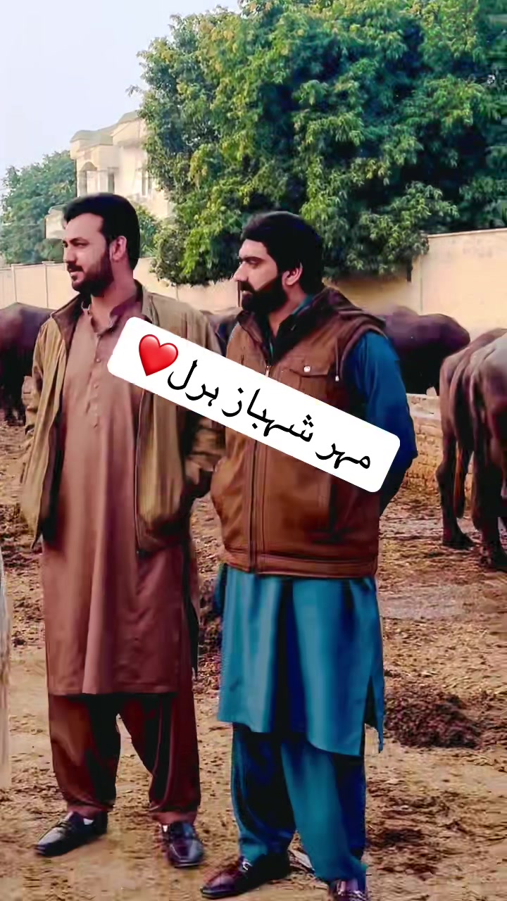@Zaka Khan