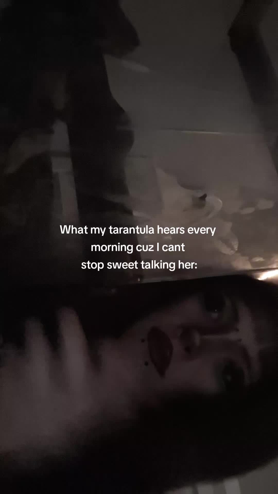 @Roxyy (Reference)