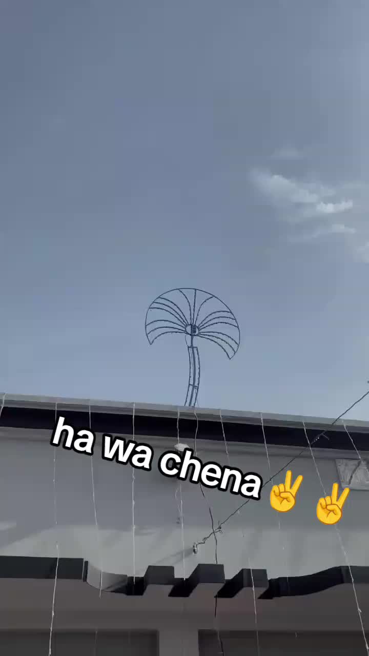 @malik Mohsin