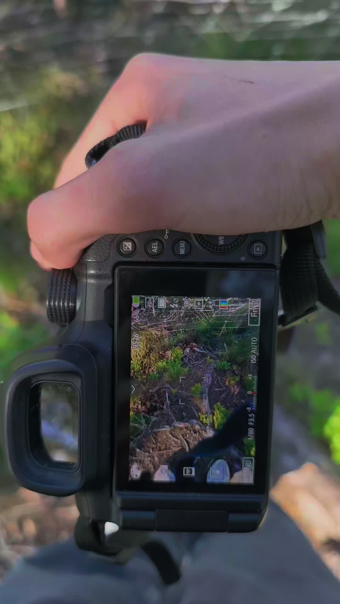 @Ollmarus