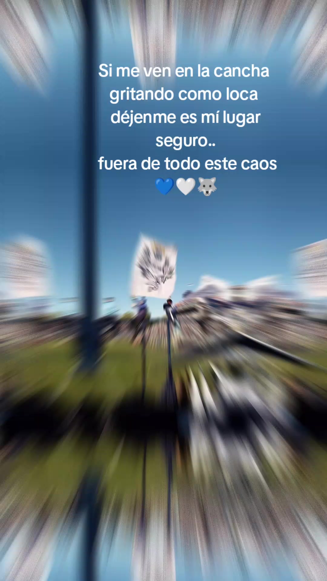 @camiisotelo22