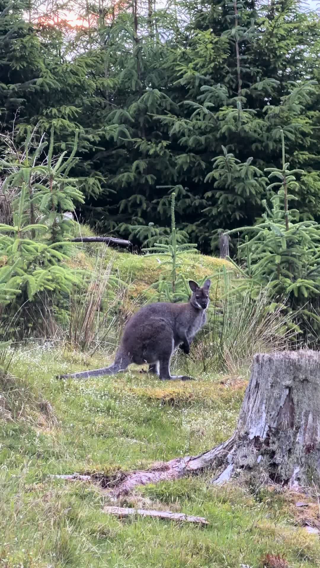@DiscoverDublin