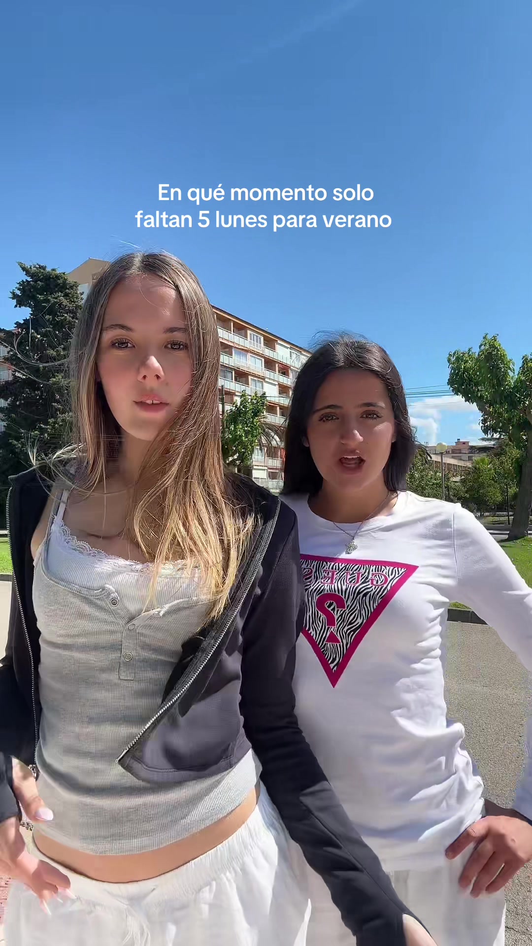 @myaugav