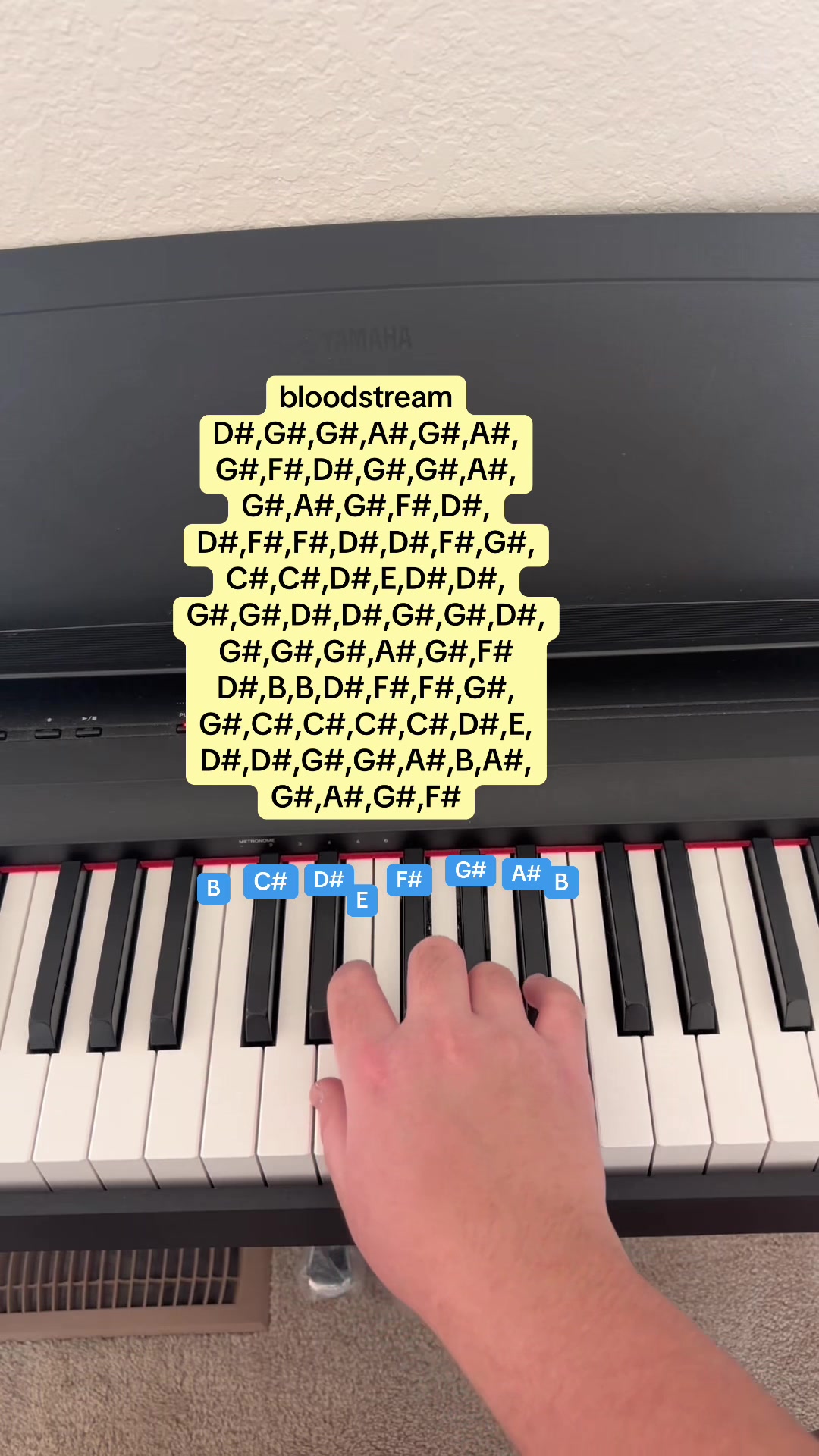 @Piano 🎹