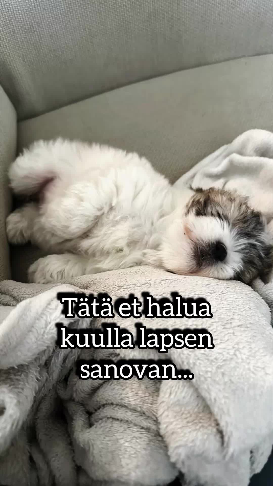 @Kolmiokuudelle