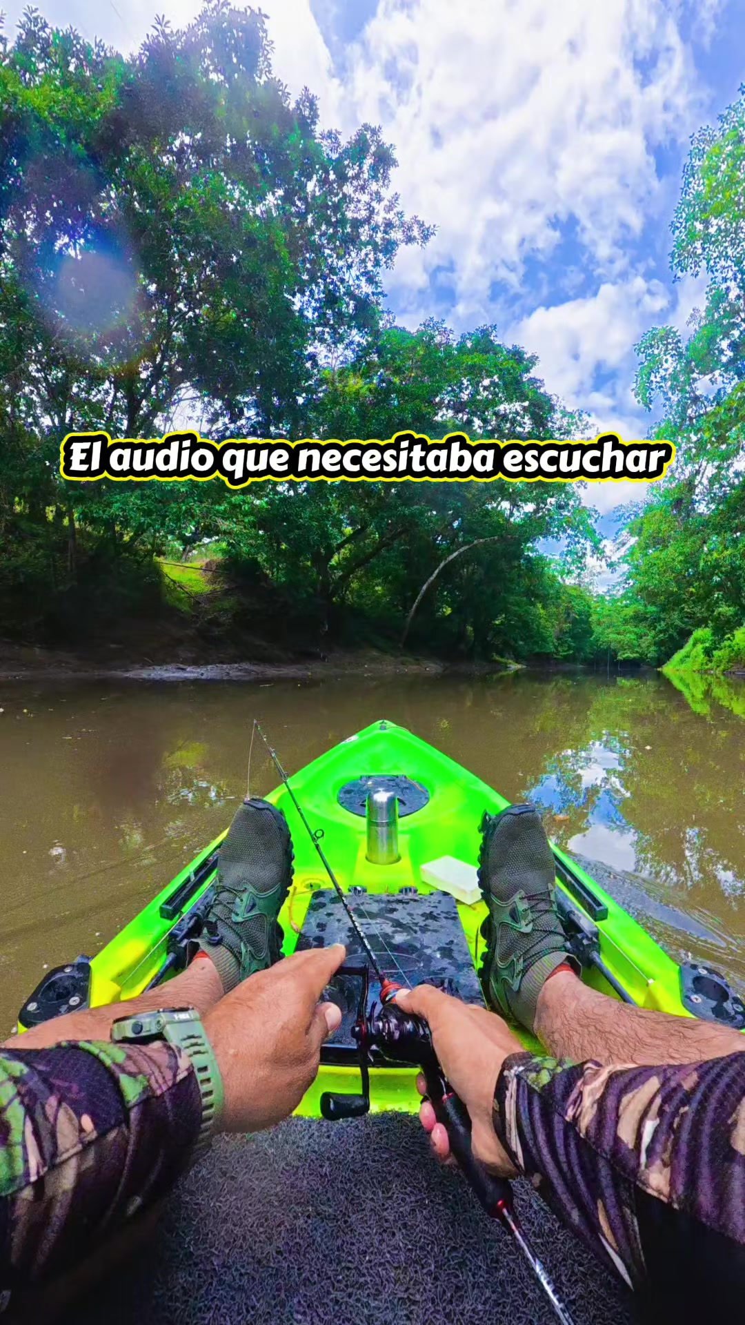 @Alejandro Silva
