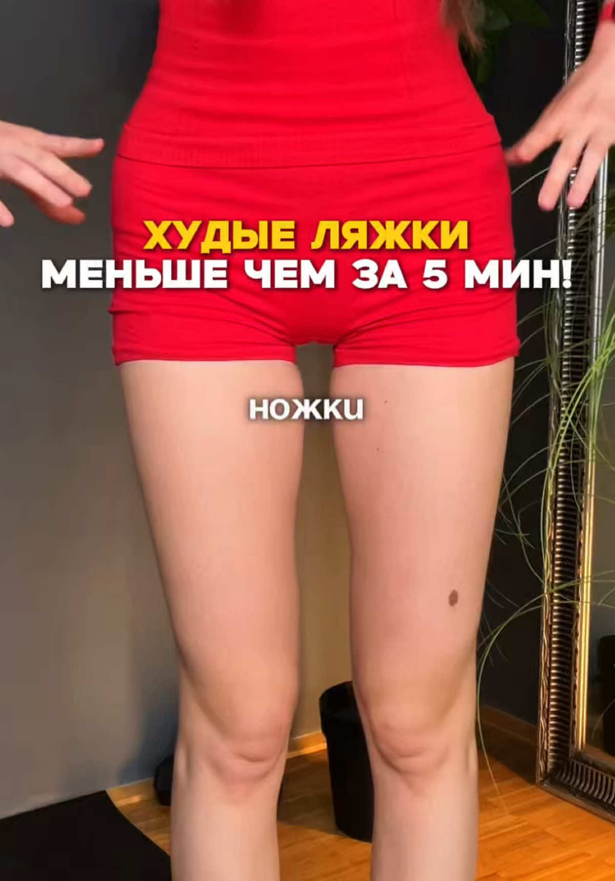 @sofi_nakonechnaya
