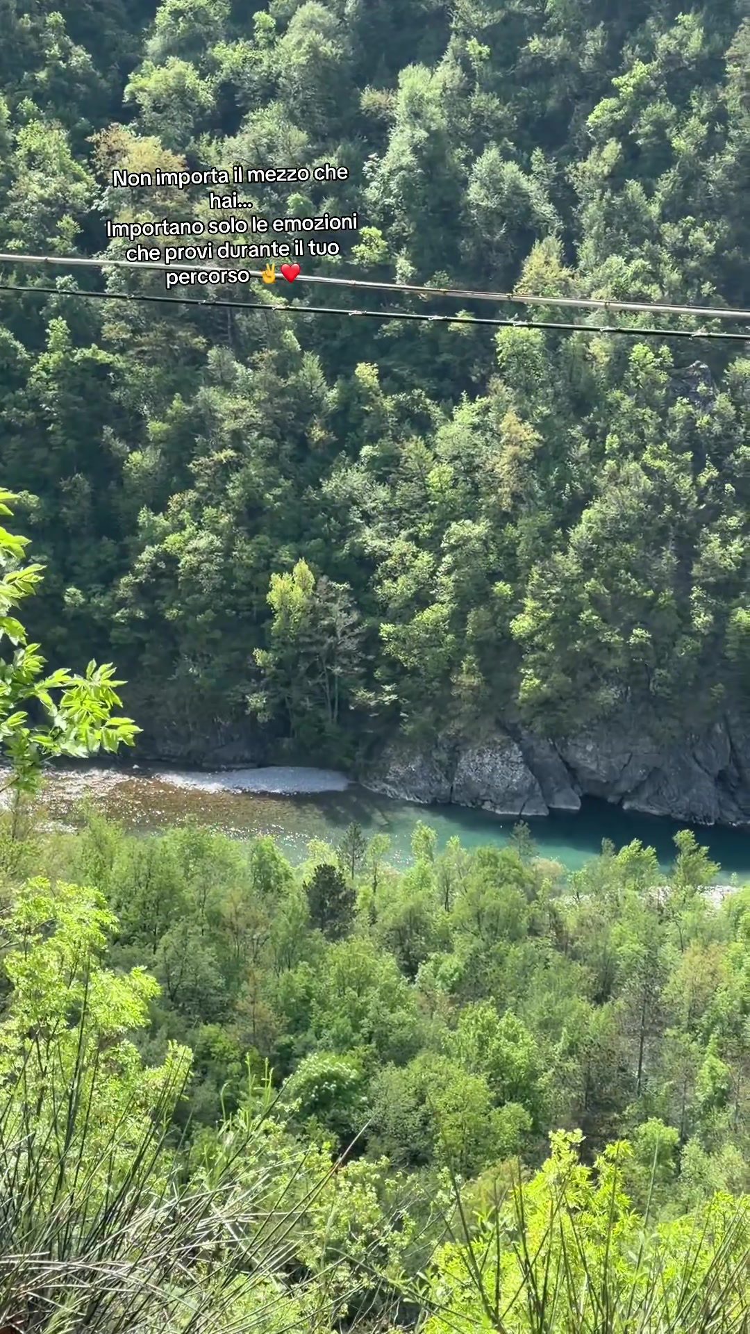 @Nicoló Multari