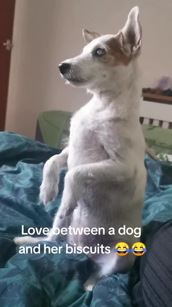 @#genxandherpets