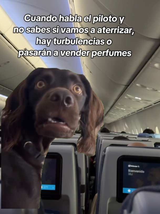 @Jota de Viaje
