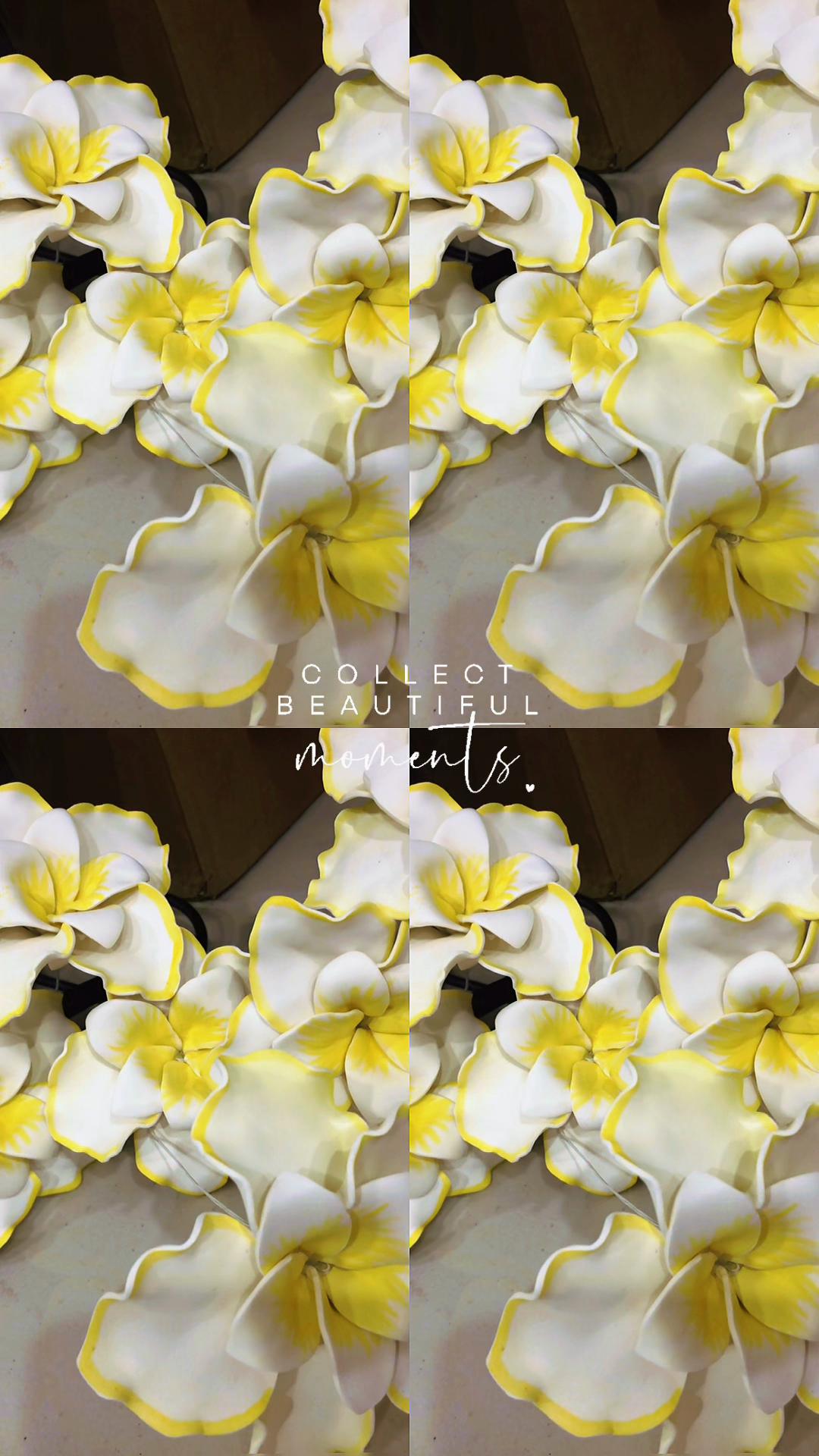@🌺Island Queen Collection🥥