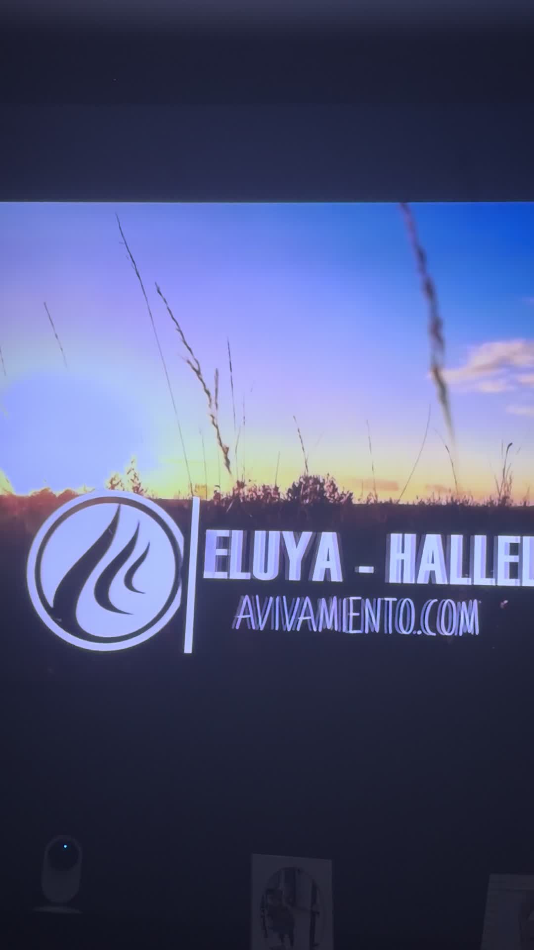 @dilciaalmonte1