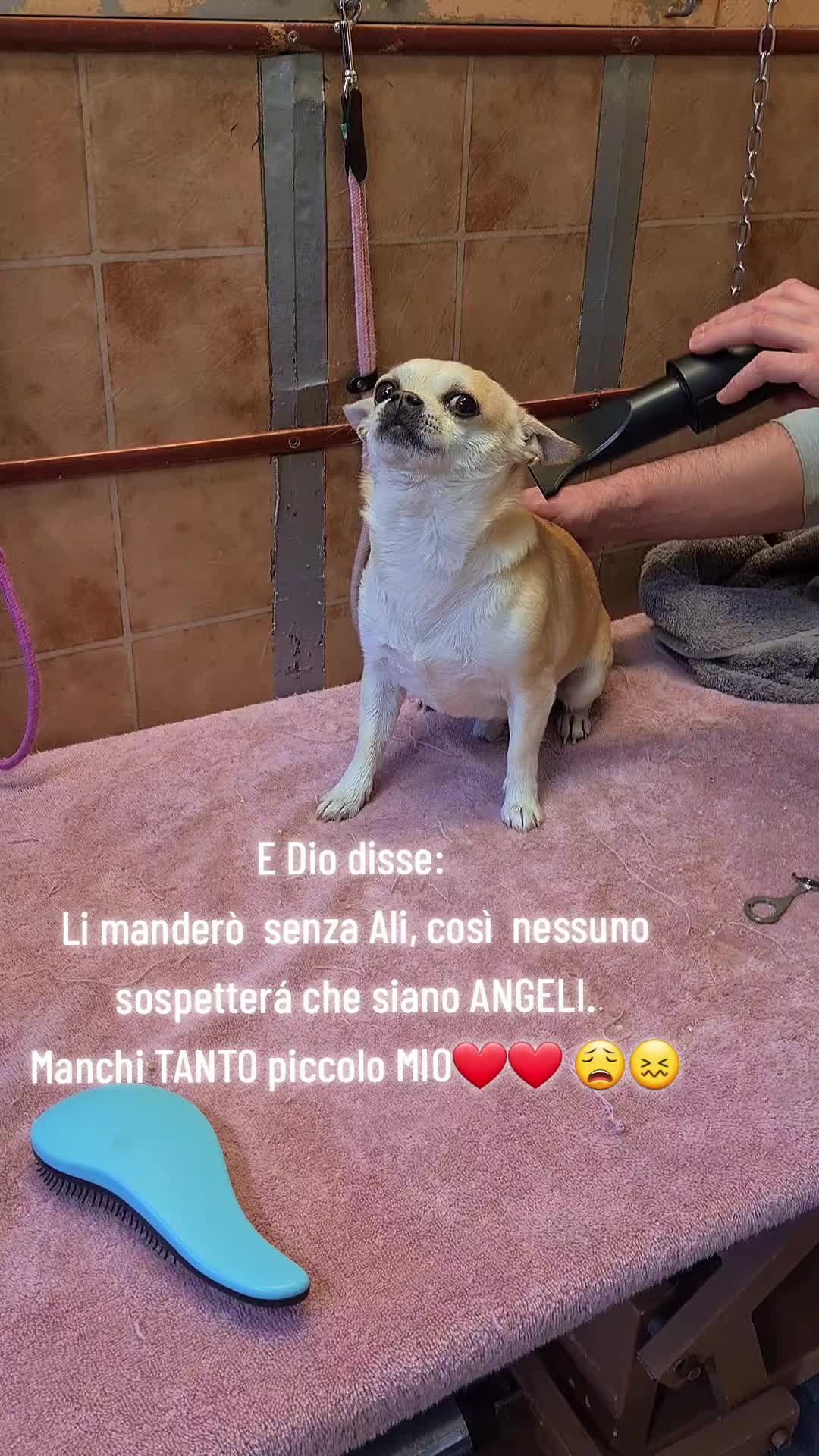 @M A S S I M O