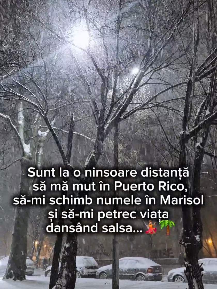 @Adina Manda