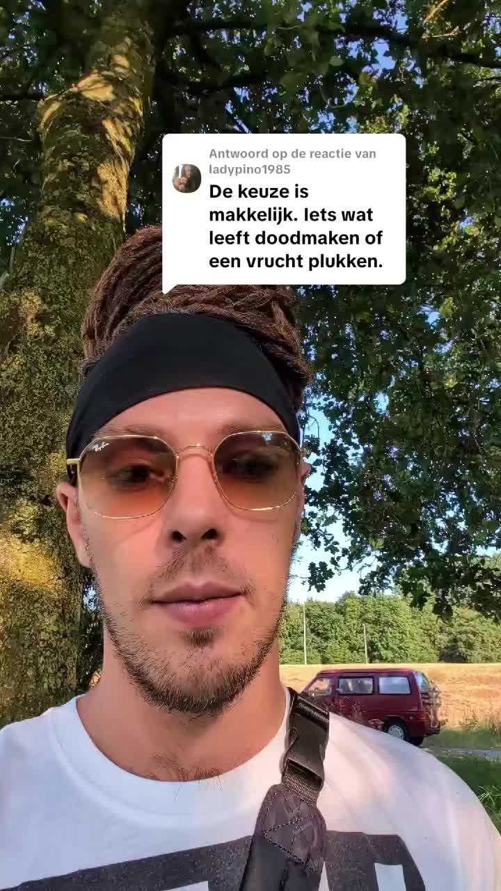 @Ital Natty
