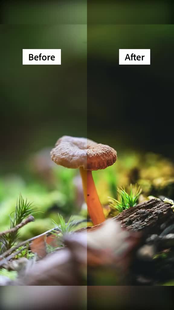 @alexwebsterphotography