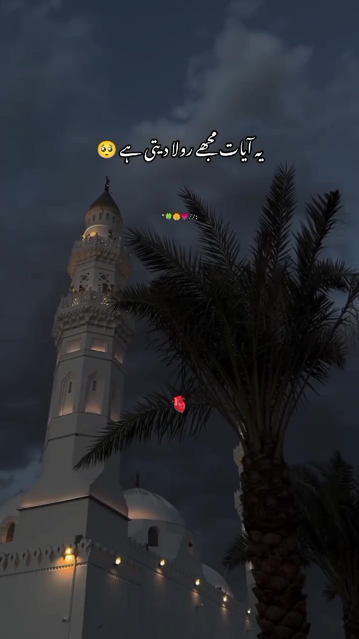 @shahzdi_aesthetic