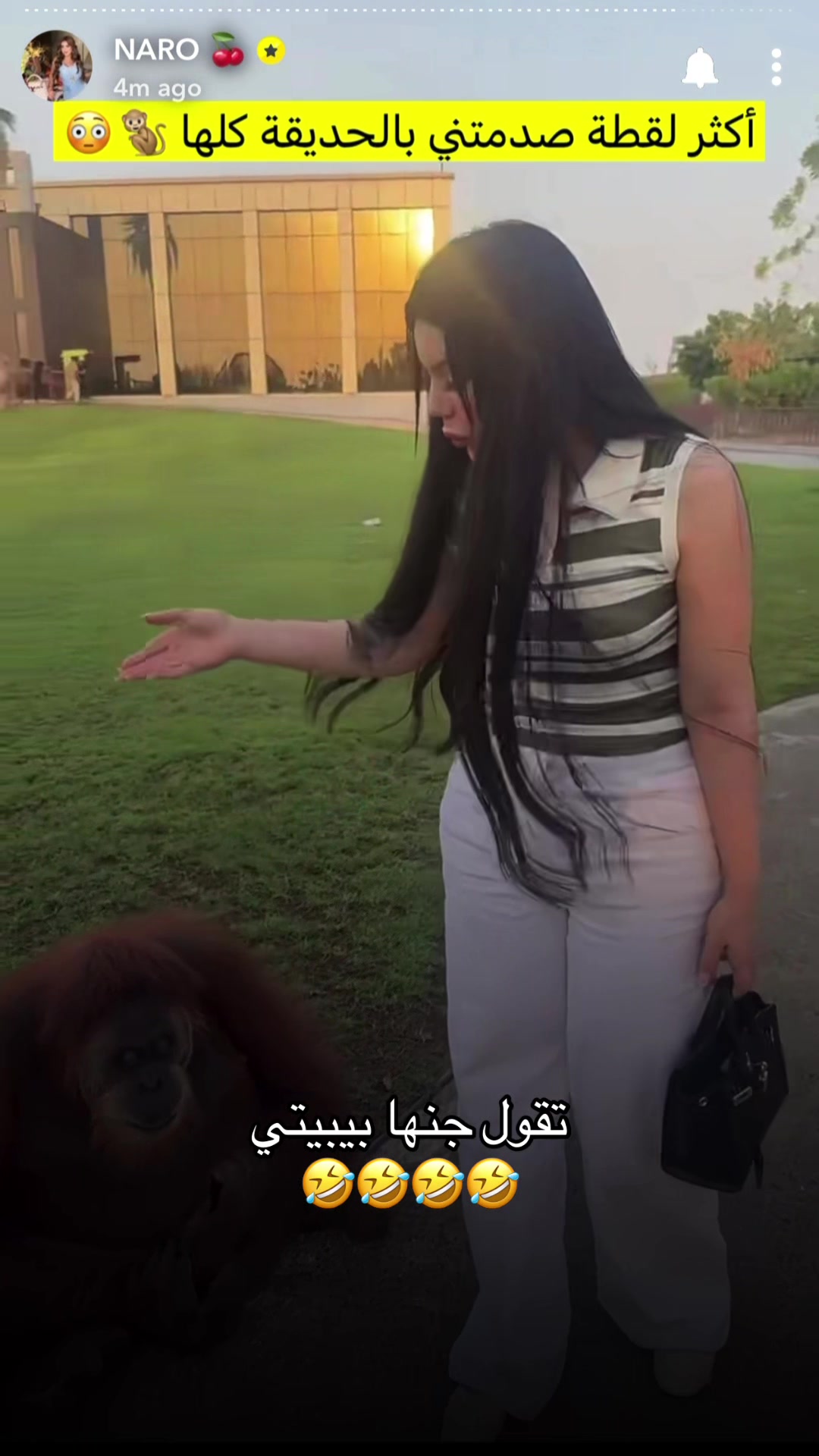 @3shtar🪽