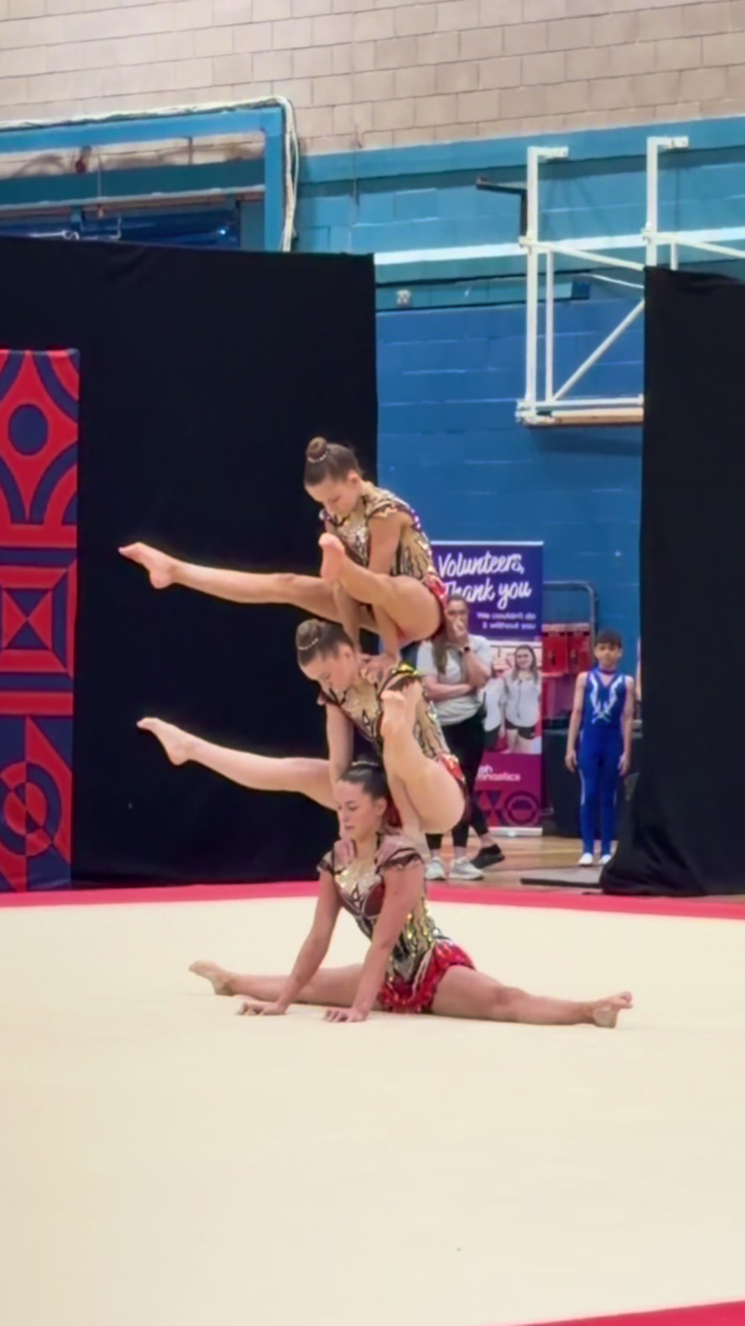 @acrogym.tv