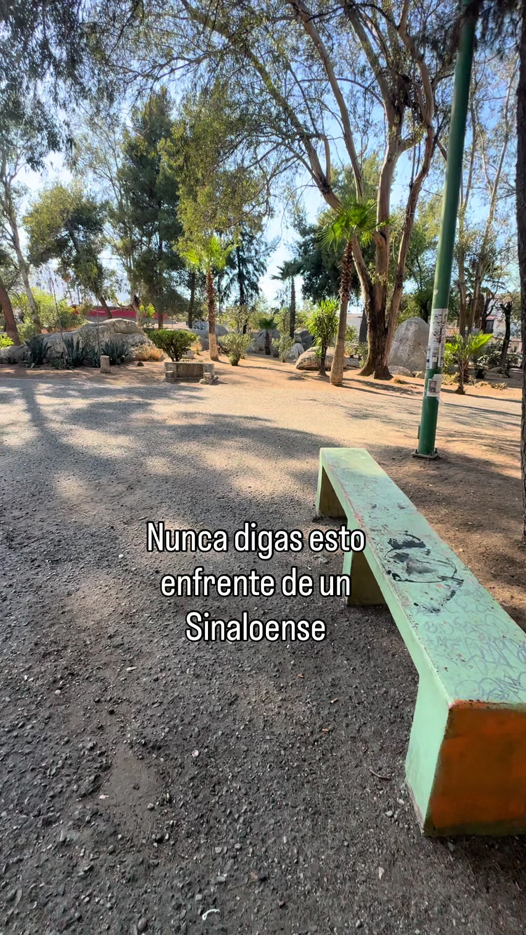 @ALVARADO