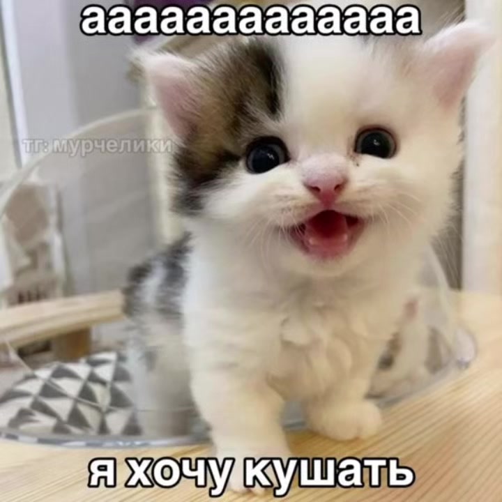 @Alexus