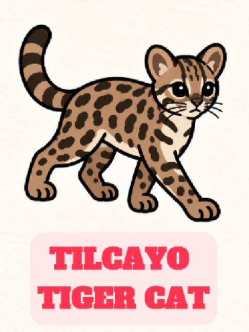 @WildlifeWonderTV Animal Facts