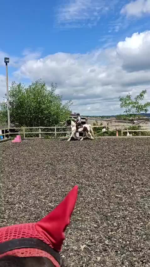 @lisajanewalters