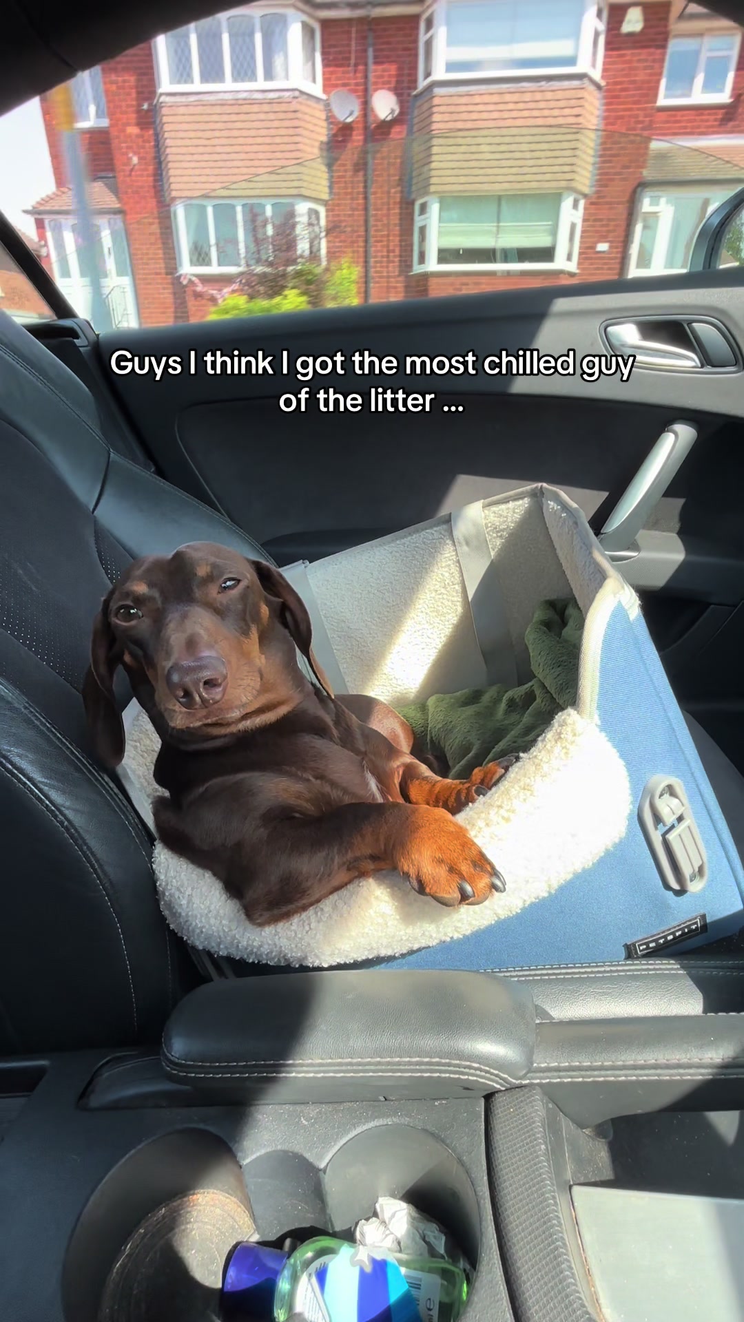 @Dougie