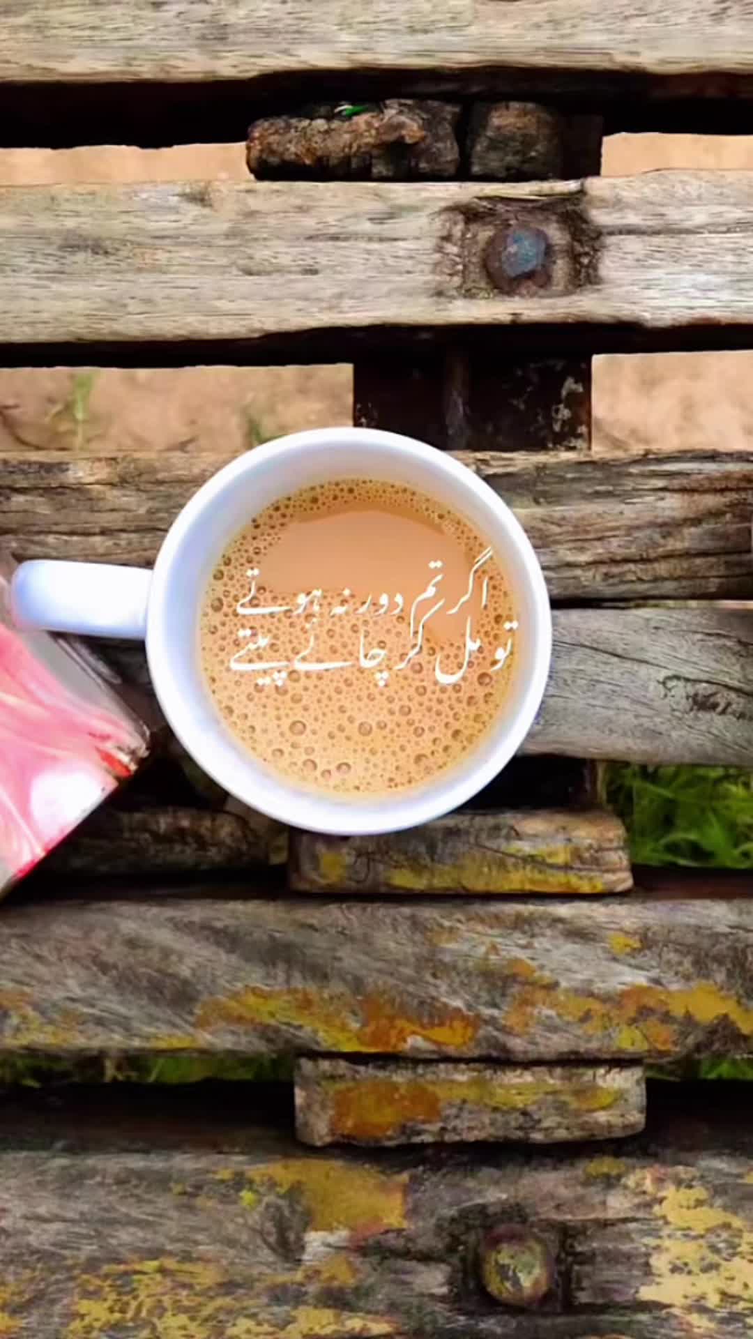@Aamal_noor