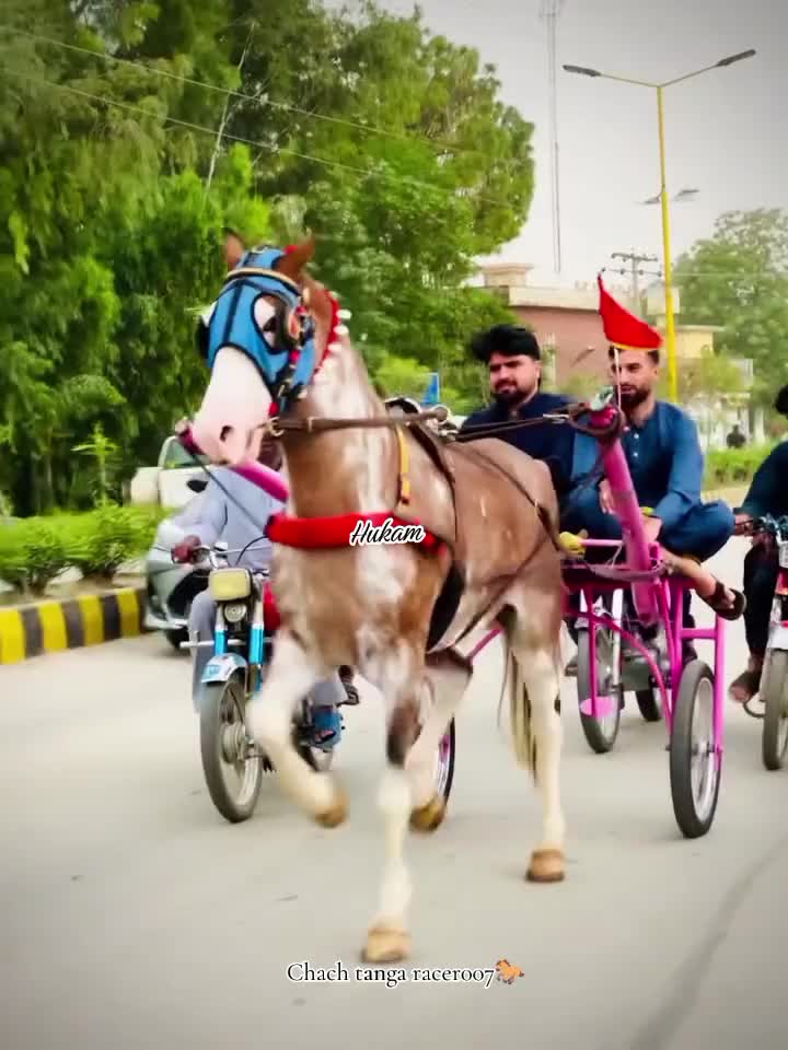 @Chach tanga racer007🐎