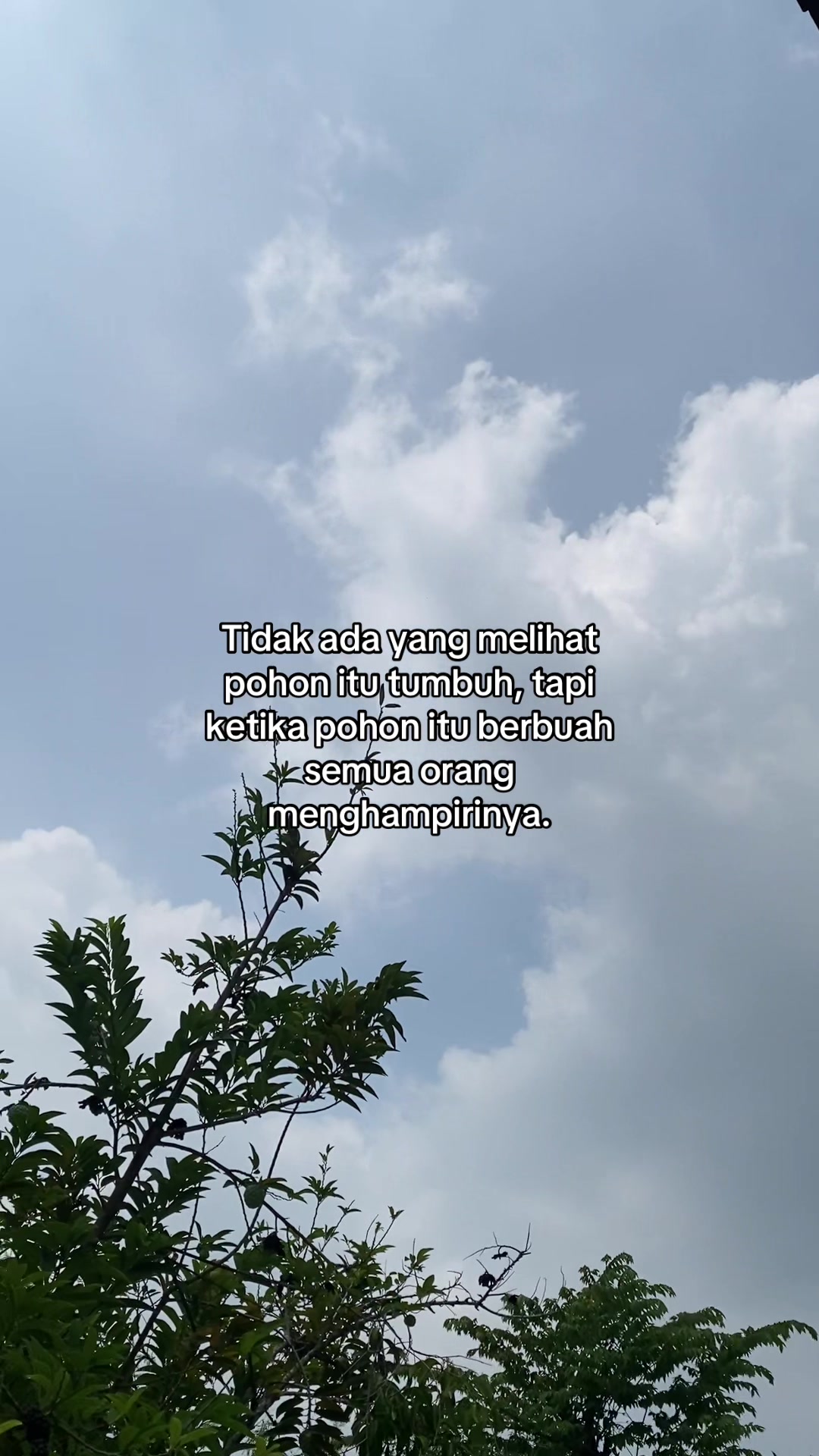 @Mamah Bian