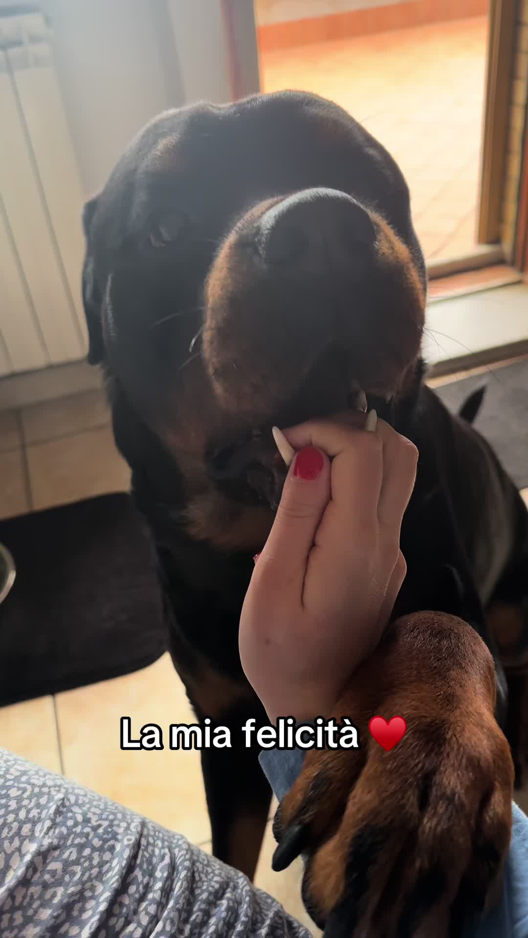 @federica_santuccio_