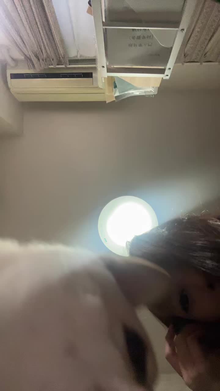@おもちの飼い主