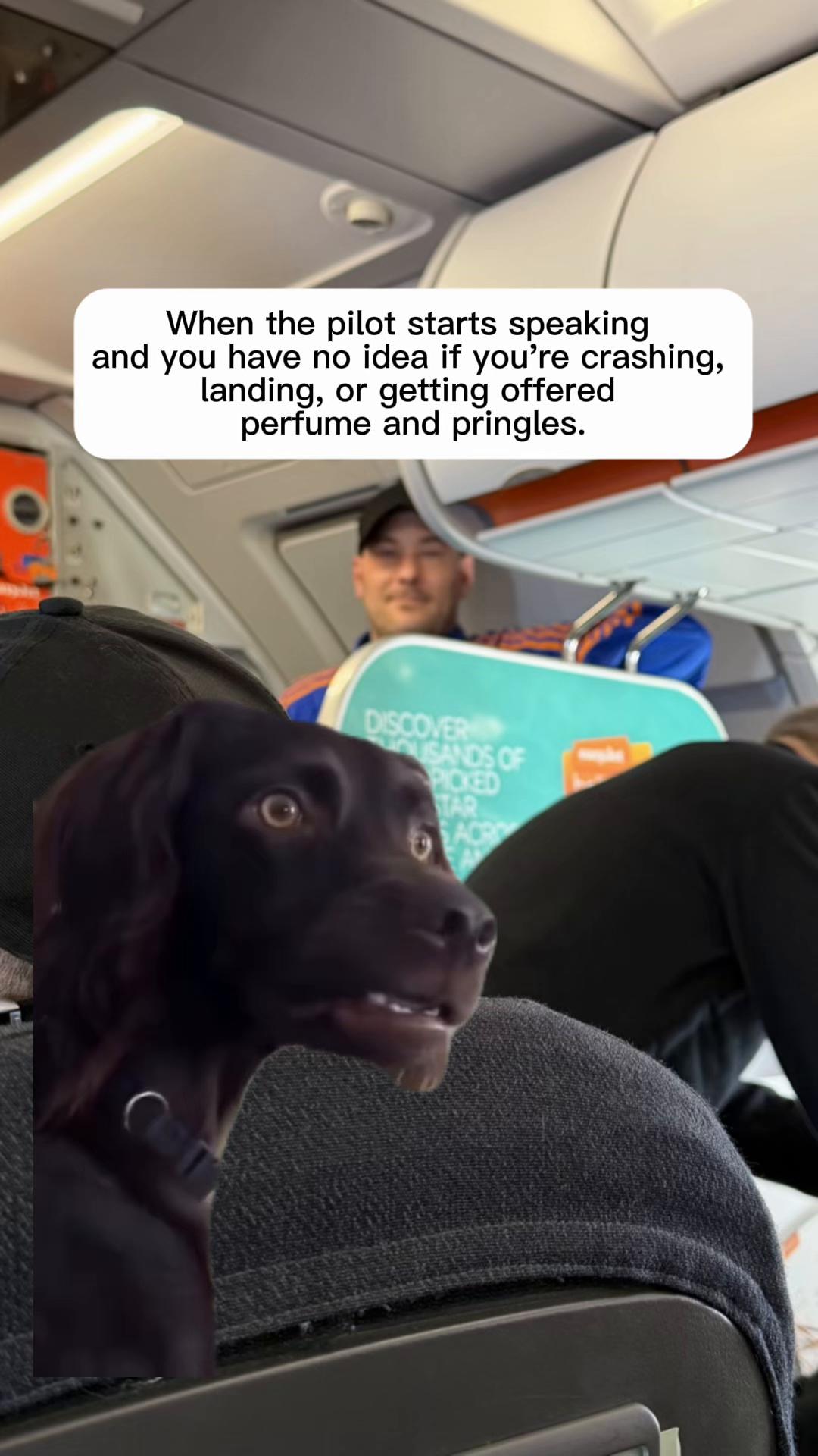 @gemma