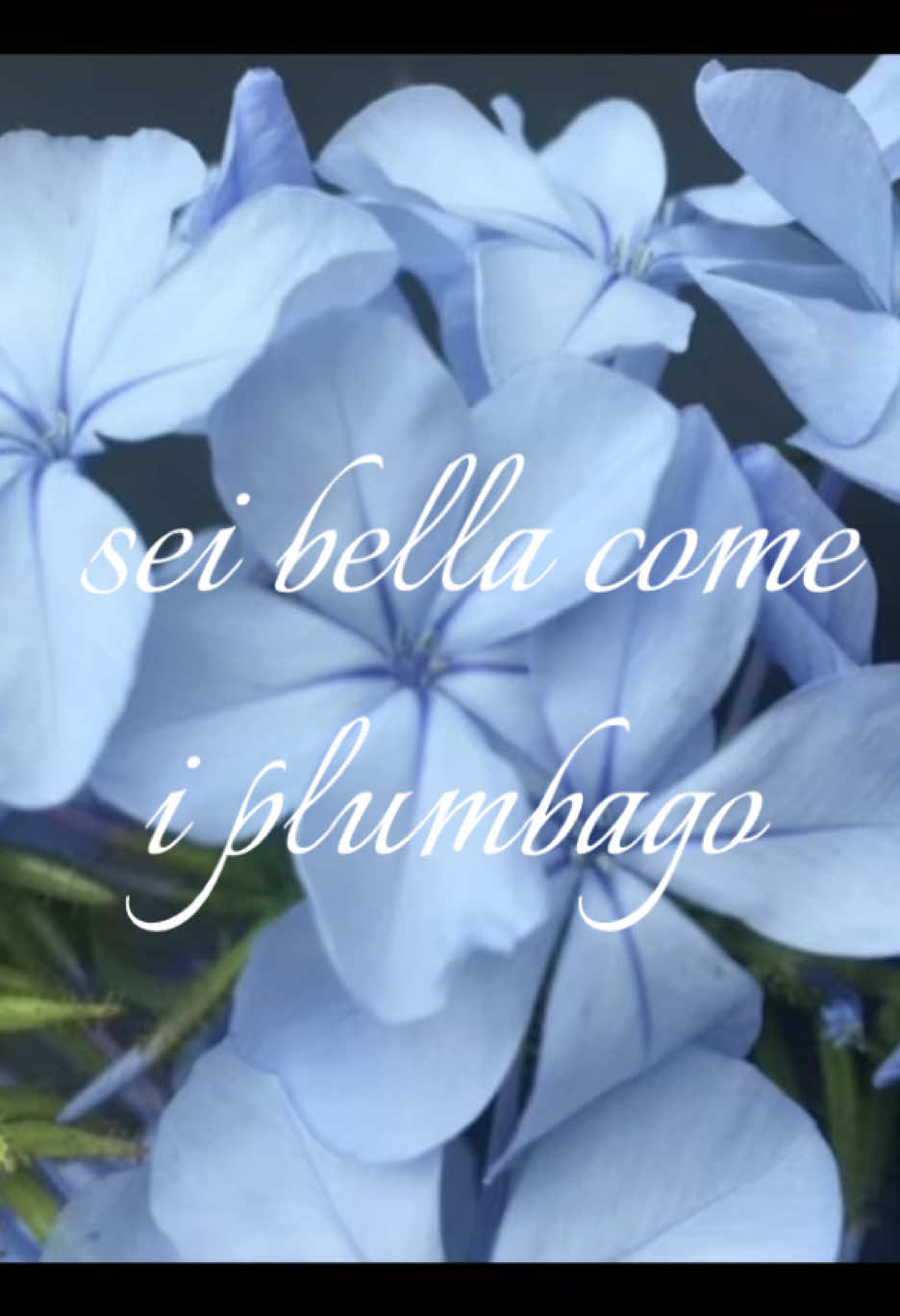 @𝓐