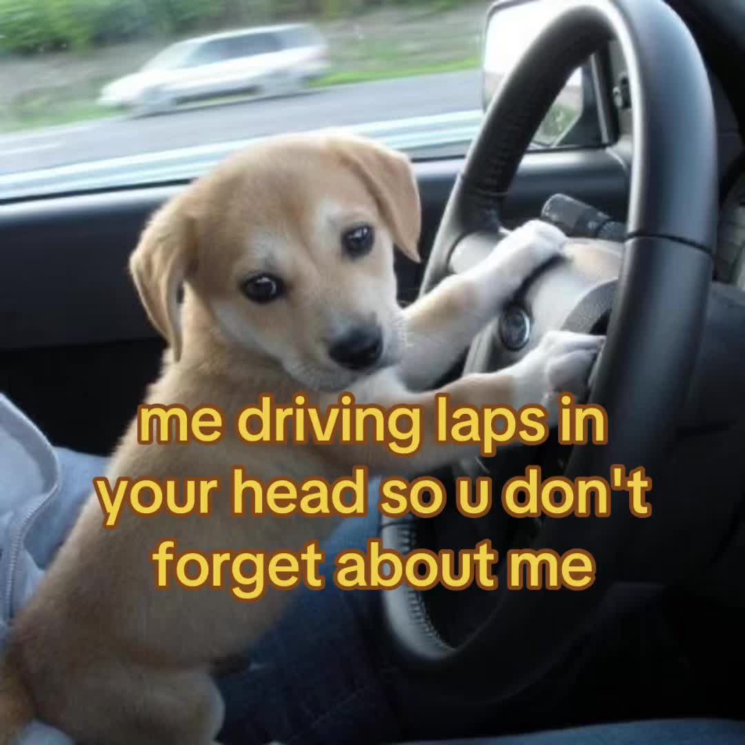 @The Bark Archive