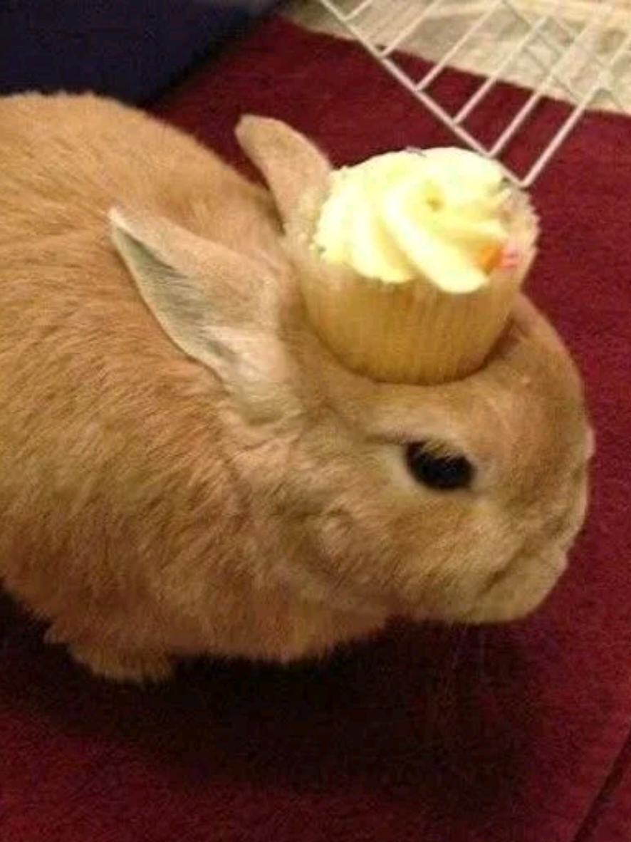 @belen🐇🧁🫧