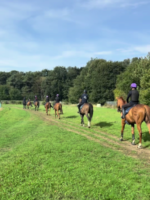 @National Horseracing College